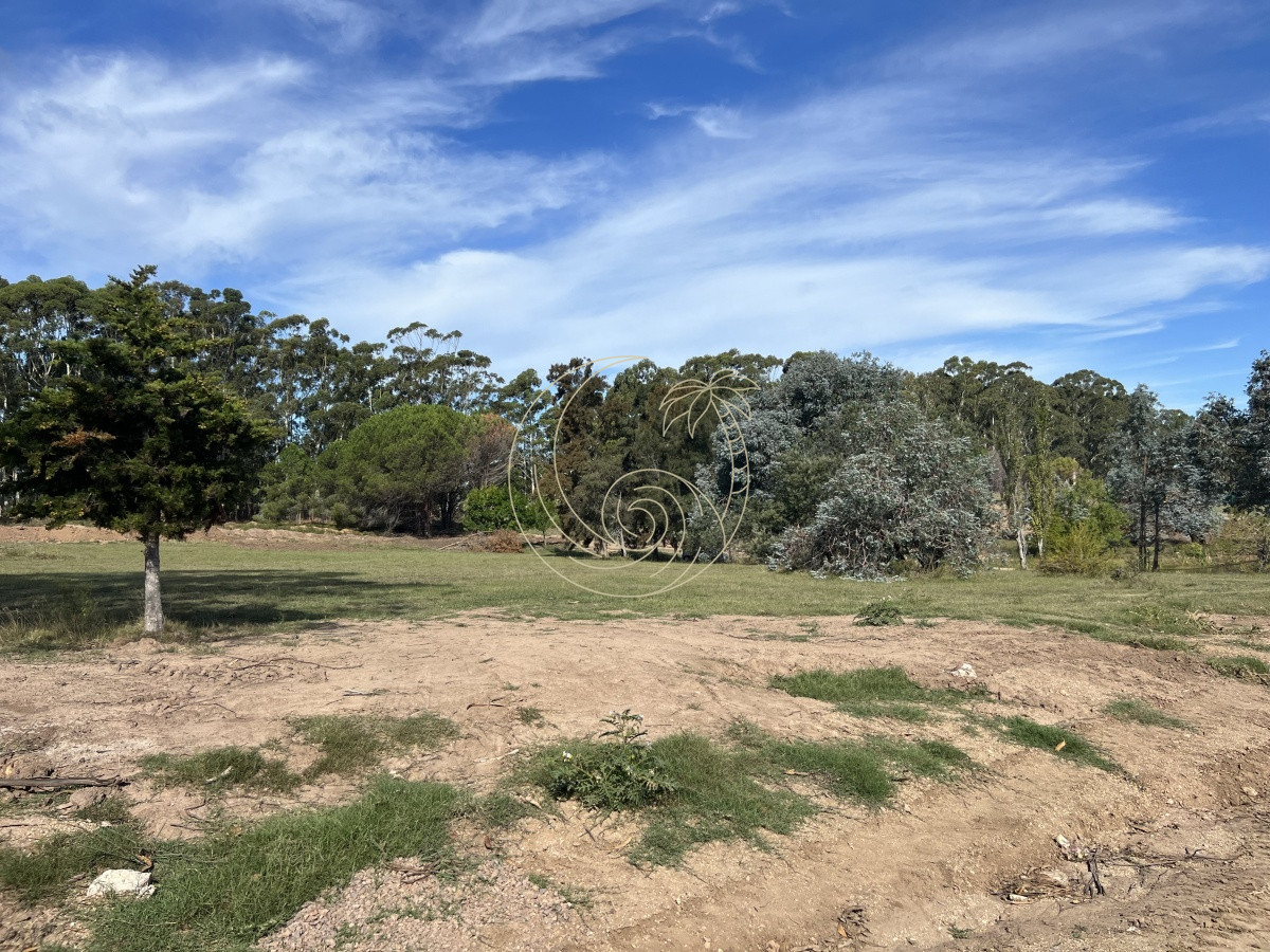 Terreno ID.21092258 - LOTES EN VENTA EN BARRIO CERRADO EN PLENA BARRA