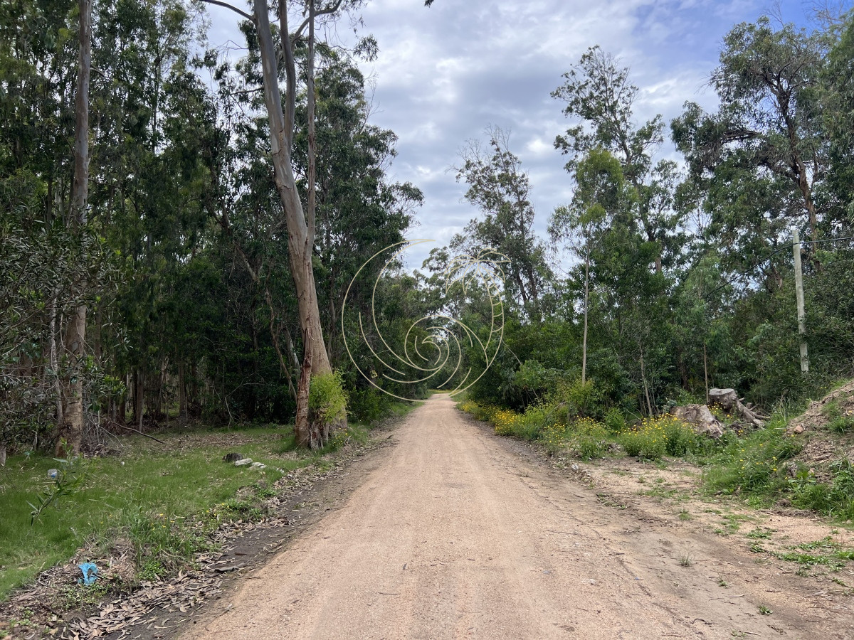 Terreno ID.21092495 - Terreno en Venta en Santa Monica - Jose Ignacio