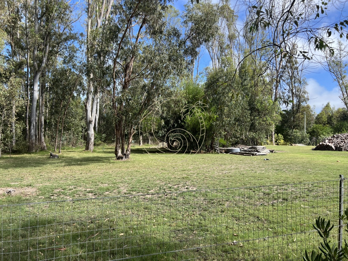 Terreno ID.21092255 - 8 Terrenos de 500 m2 aprox en El Tesoro - La Barra