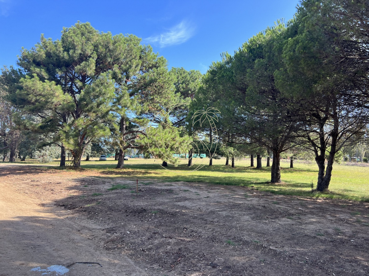 Terreno ID.21092258 - LOTES EN VENTA EN BARRIO CERRADO EN PLENA BARRA