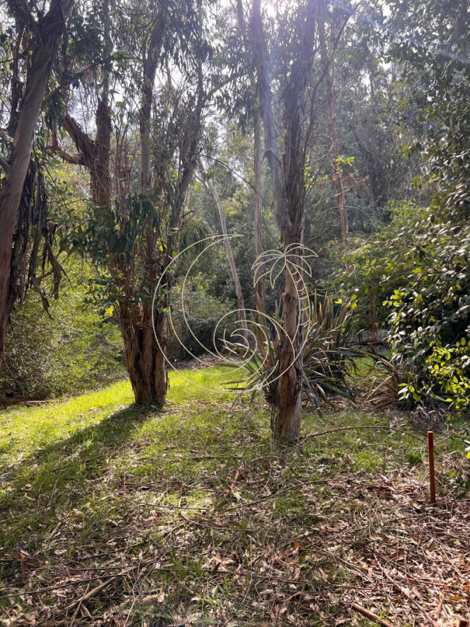 Terreno ID.21093146 - Terreno en venta en Barrio San Vicente.