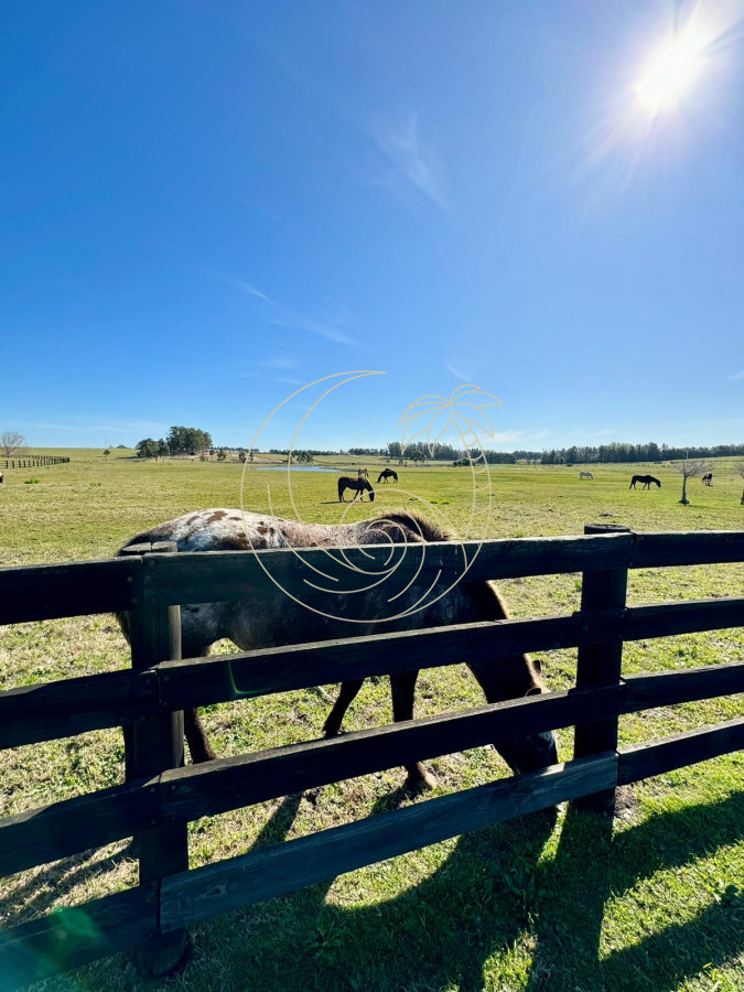 Terreno ID.21092655 - Espectacular Lote en Venta en Pueblo Mio