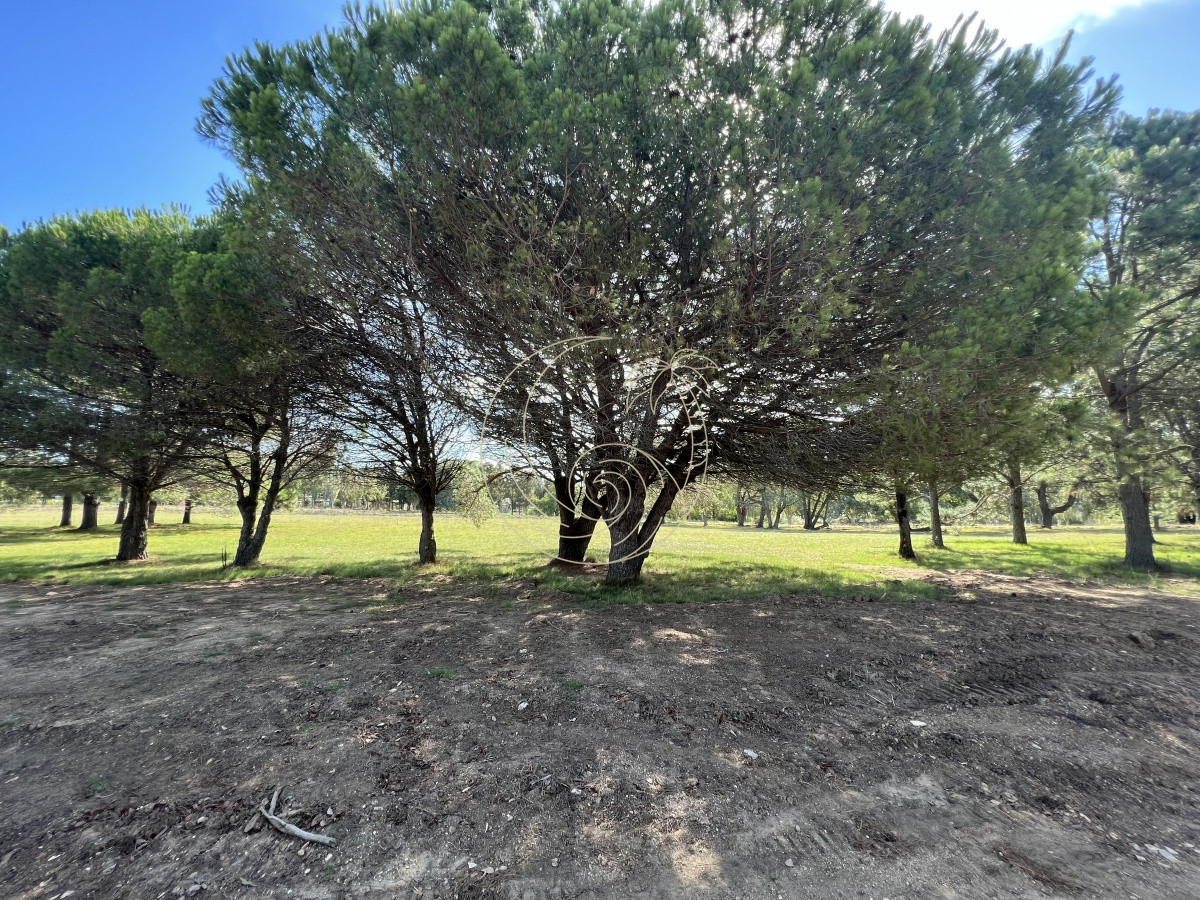 Terreno ID.21092258 - LOTES EN VENTA EN BARRIO CERRADO EN PLENA BARRA
