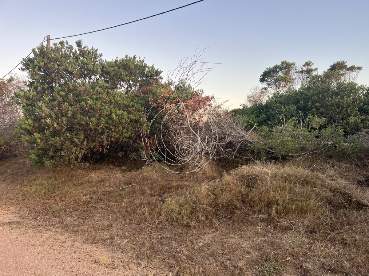 Terreno ID.21091939 - TERRENO DE 900 MT2 EN LA JUANITA A 100 MTS DEL MAR