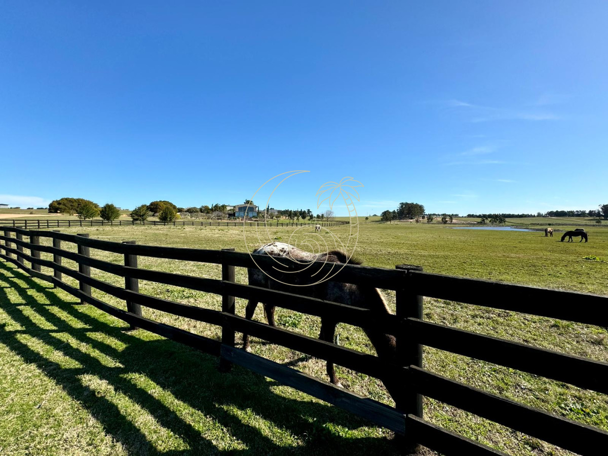Terreno ID.21092655 - Espectacular Lote en Venta en Pueblo Mio