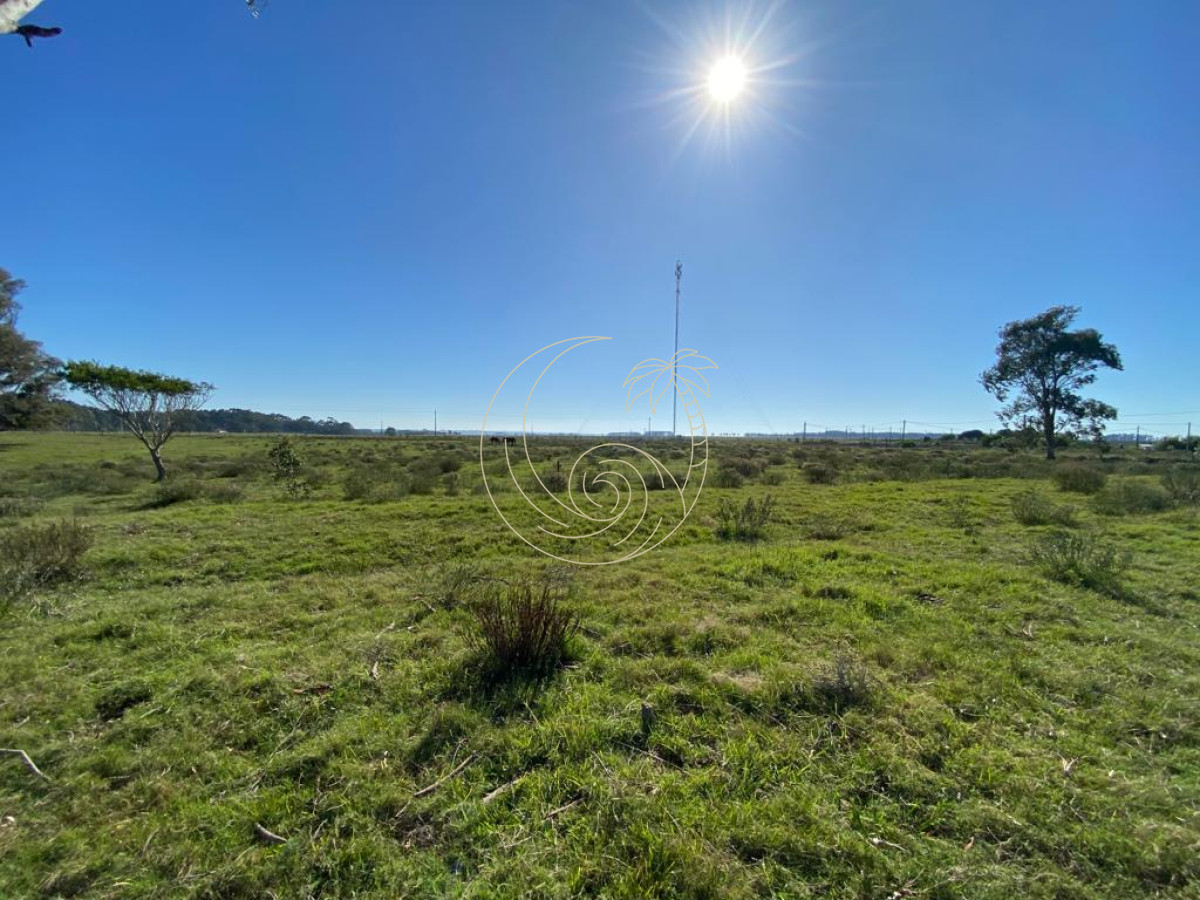 Terreno ID.21092378 - TERRENO 2.422m2 EN LA PALOMA, ROCHA 