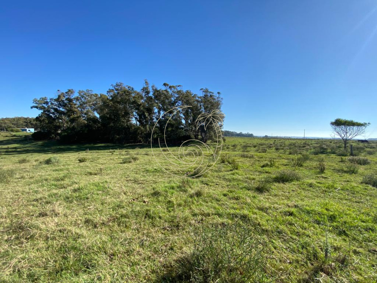 Terreno ID.21092378 - TERRENO 2.422m2 EN LA PALOMA, ROCHA 
