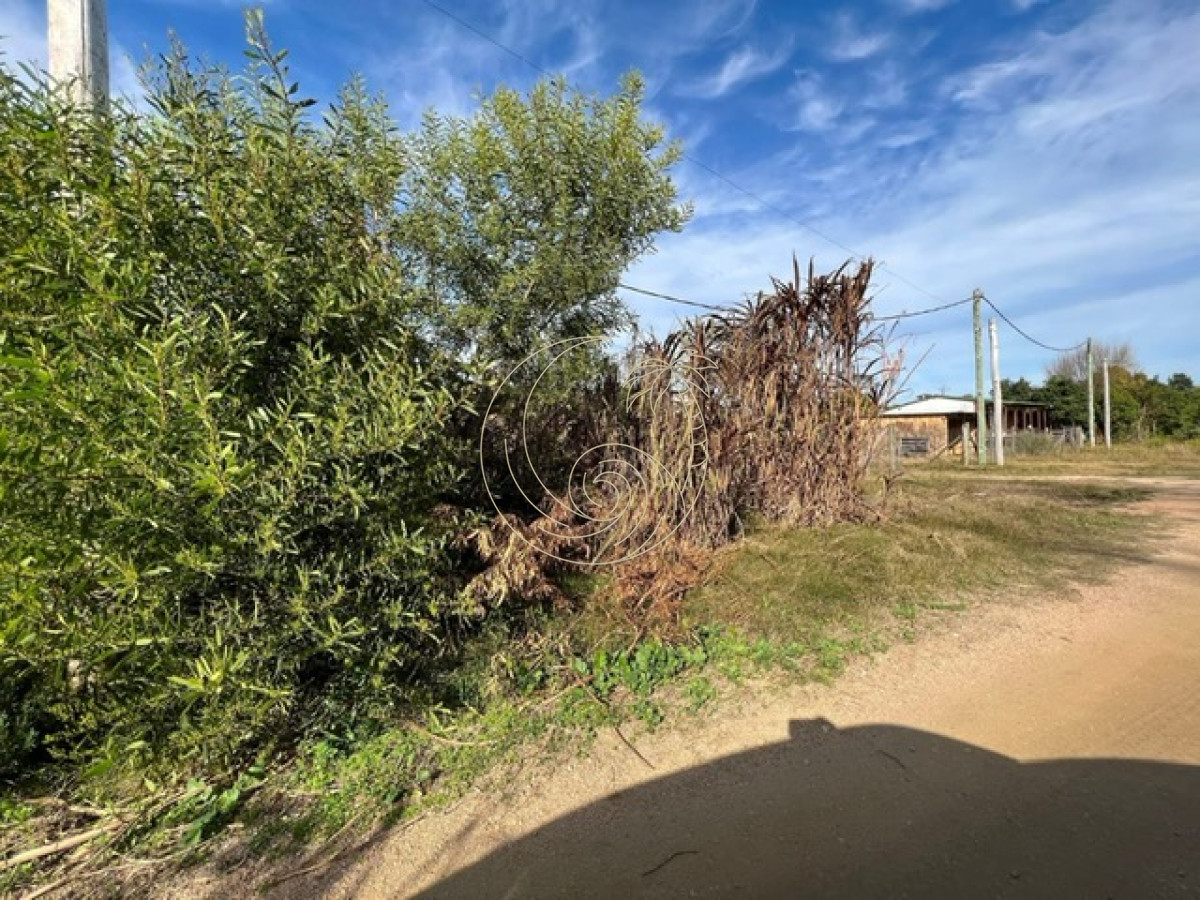 Terreno ID.21091522 - TERRENO EN VENTA EN LA JUANITA, JOSE IGNACIO