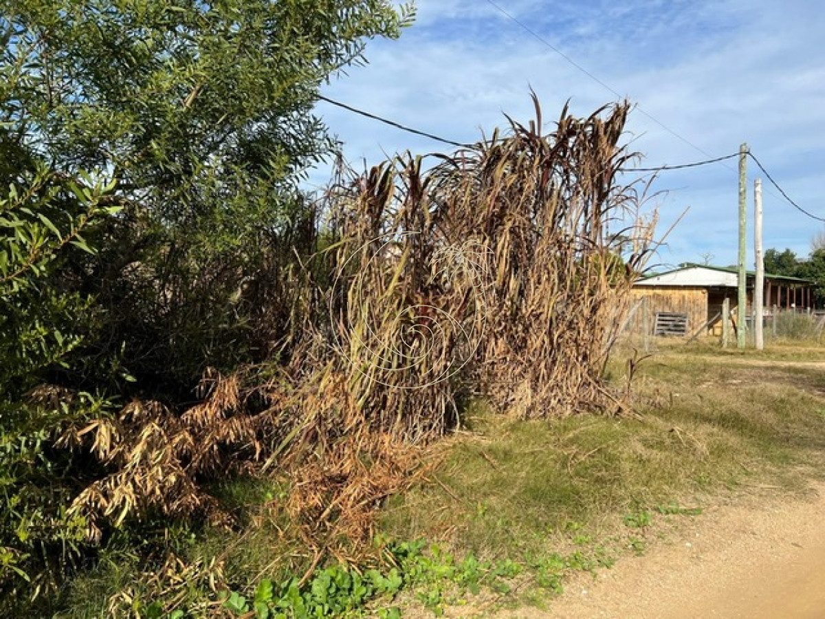 Terreno ID.21091522 - TERRENO EN VENTA EN LA JUANITA, JOSE IGNACIO