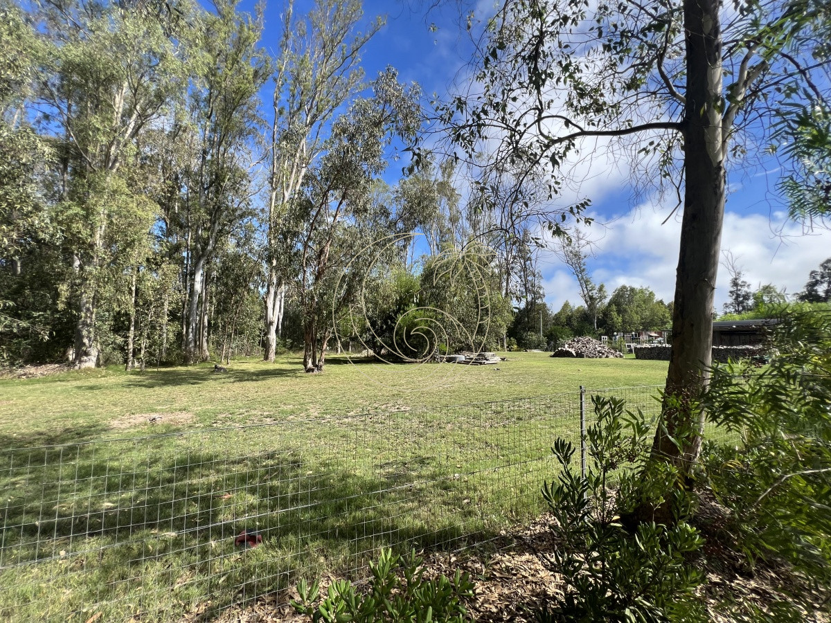 Terreno ID.21092255 - 8 Terrenos de 500 m2 aprox en El Tesoro - La Barra