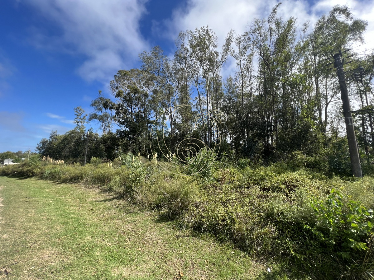 Terreno ID.21092255 - 8 Terrenos de 500 m2 aprox en El Tesoro - La Barra