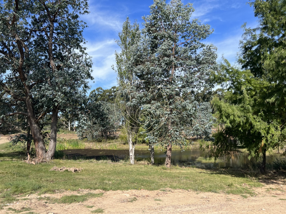 Terreno ID.21092258 - LOTES EN VENTA EN BARRIO CERRADO EN PLENA BARRA