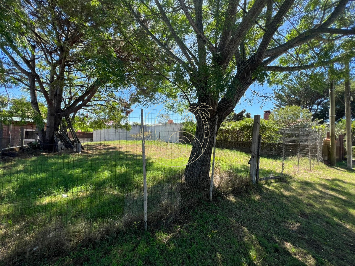Terreno ID.21092322 - TERRENO EN PUNTA DEL ESTE 