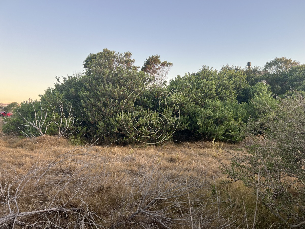 Terreno ID.21091939 - TERRENO DE 900 MT2 EN LA JUANITA A 100 MTS DEL MAR