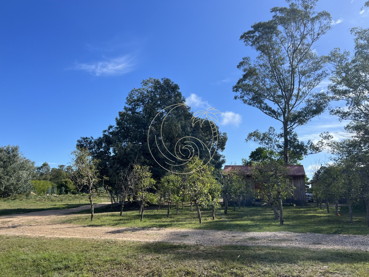 Terreno ID.21092258 - LOTES EN VENTA EN BARRIO CERRADO EN PLENA BARRA