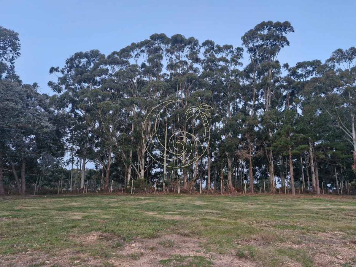 Terreno ID.21092965 - TERRENO EN DON MIGUEL