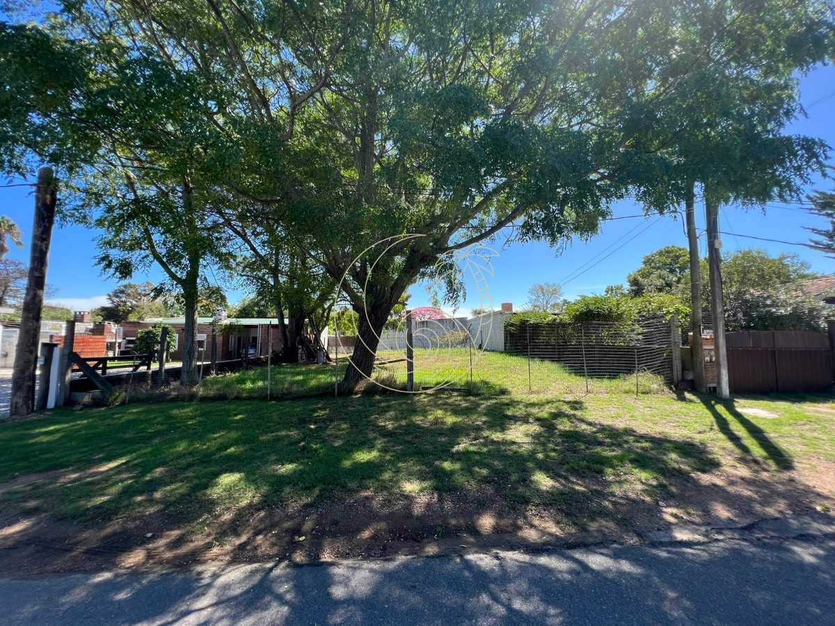 Terreno ID.21092322 - TERRENO EN PUNTA DEL ESTE 