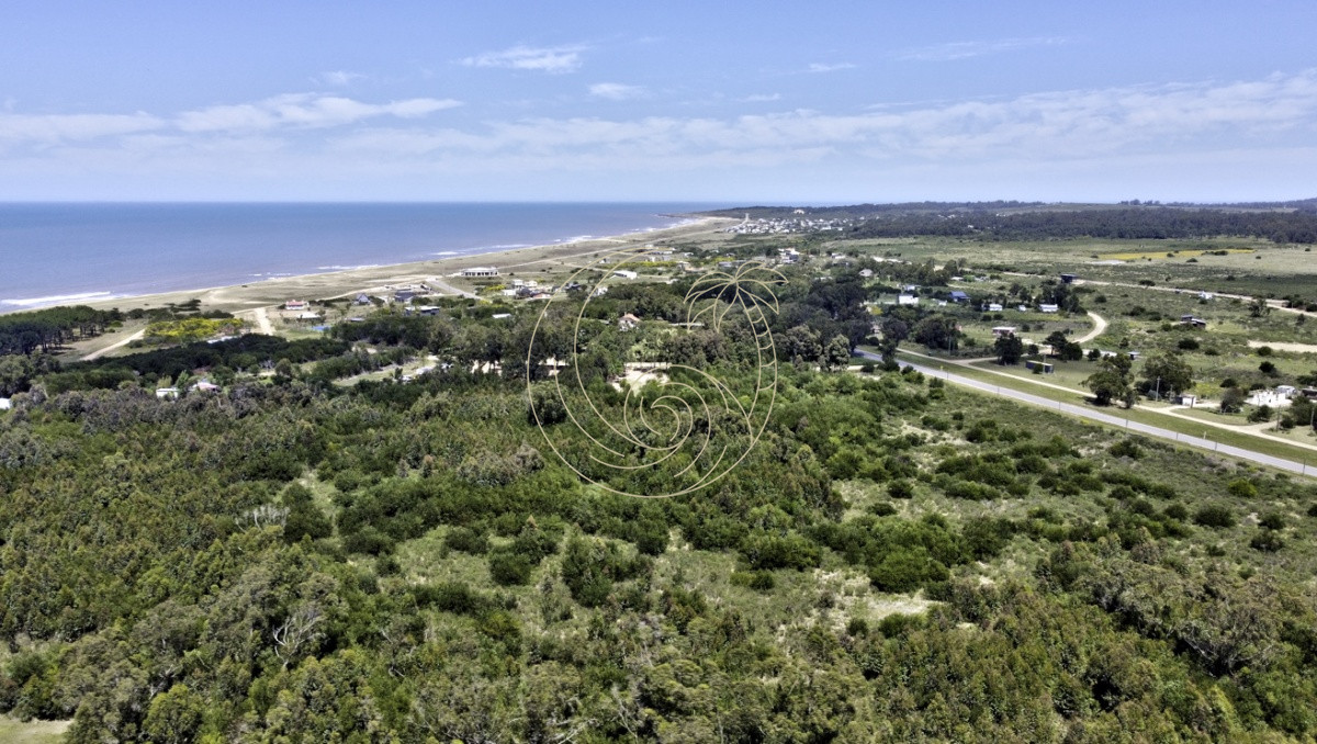 Terreno ID.21091940 - TERRENOS EN BARRA DE PORTEZUELO DE 2.000 MT2 A 400 M DEL MAR