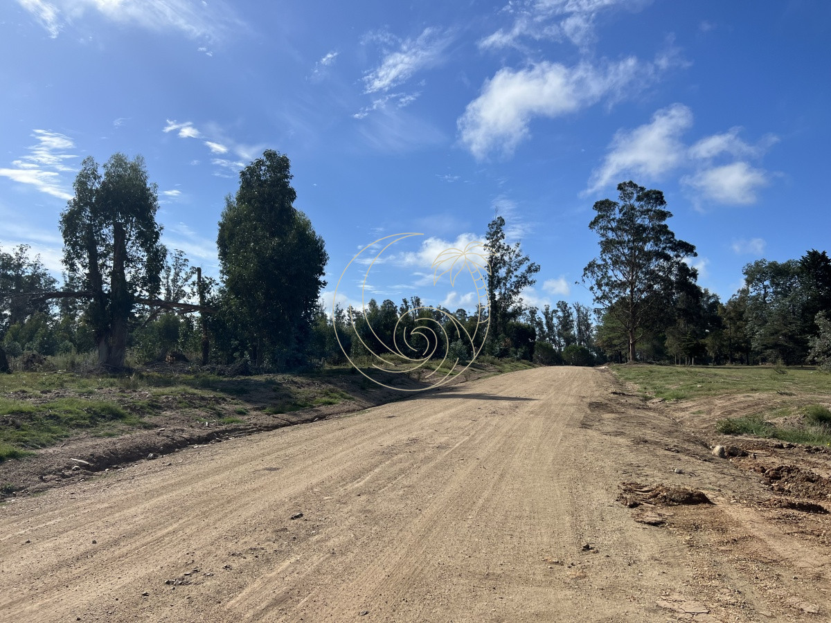 Terreno ID.21092258 - LOTES EN VENTA EN BARRIO CERRADO EN PLENA BARRA