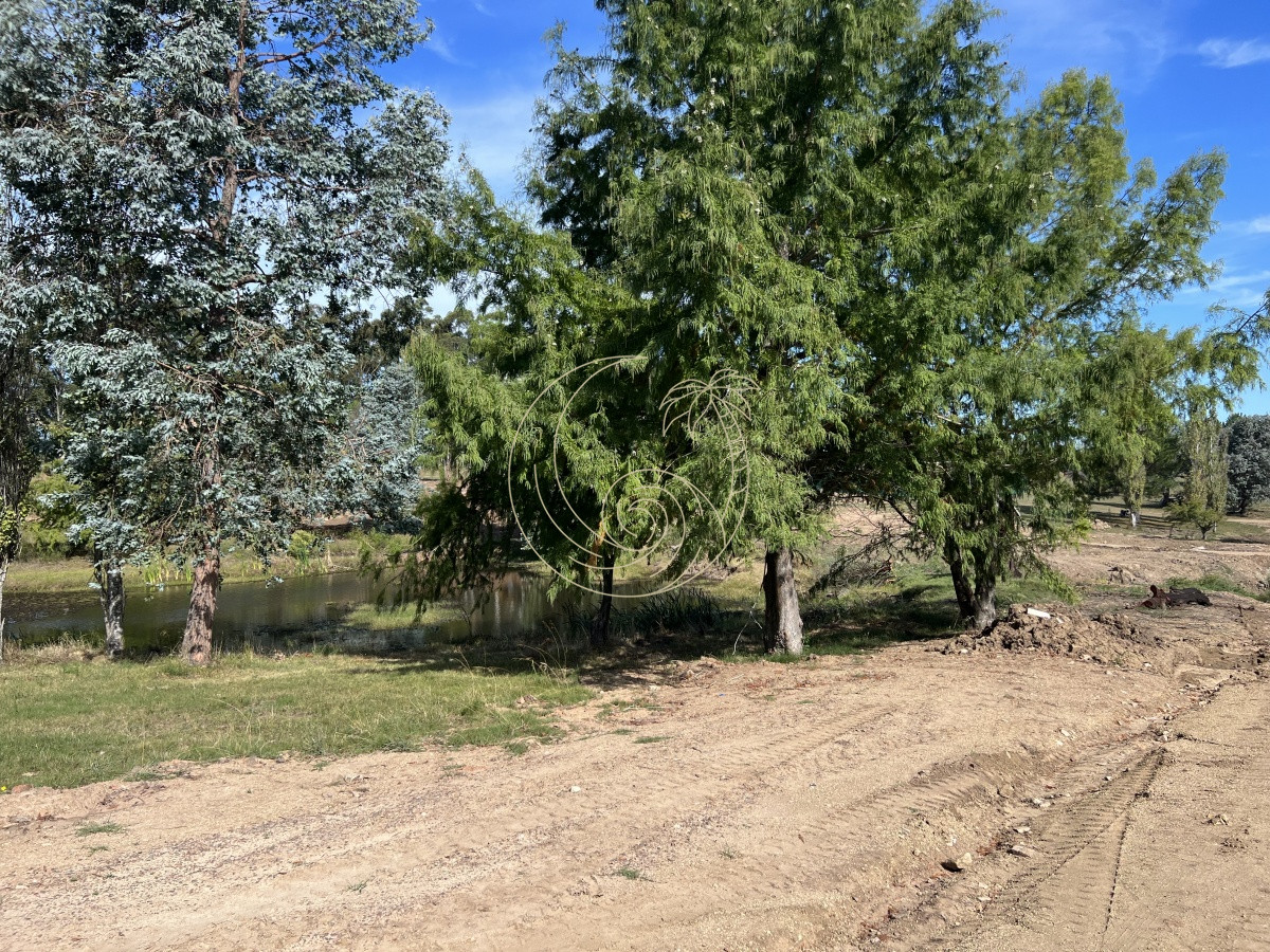 Terreno ID.21092258 - LOTES EN VENTA EN BARRIO CERRADO EN PLENA BARRA
