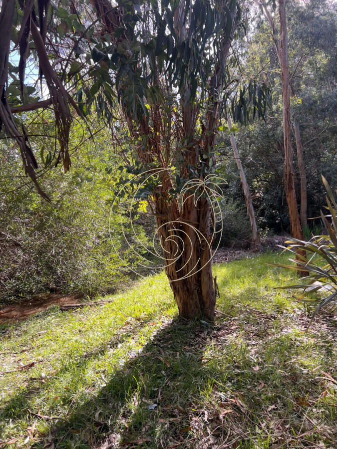 Terreno ID.21093146 - Terreno en venta en Barrio San Vicente.