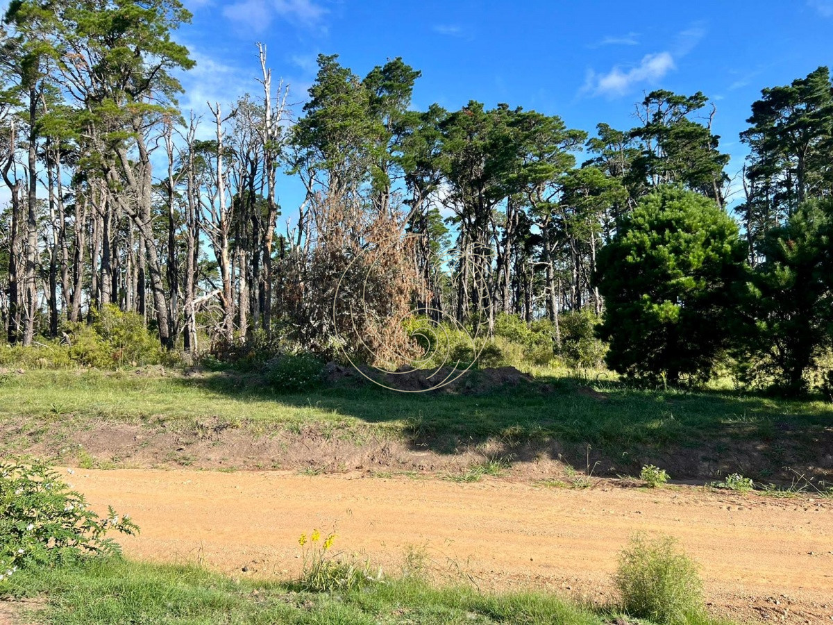 Terreno ID.21092318 - Terrenos en venta en Barrio Privado Puerto Quetzal