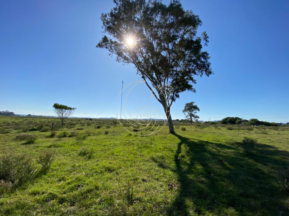 Terreno ID.21092378 - TERRENO 2.422m2 EN LA PALOMA, ROCHA 