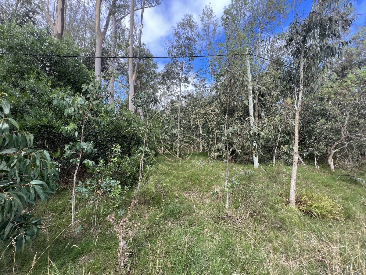 Terreno ID.21092255 - 8 Terrenos de 500 m2 aprox en El Tesoro - La Barra
