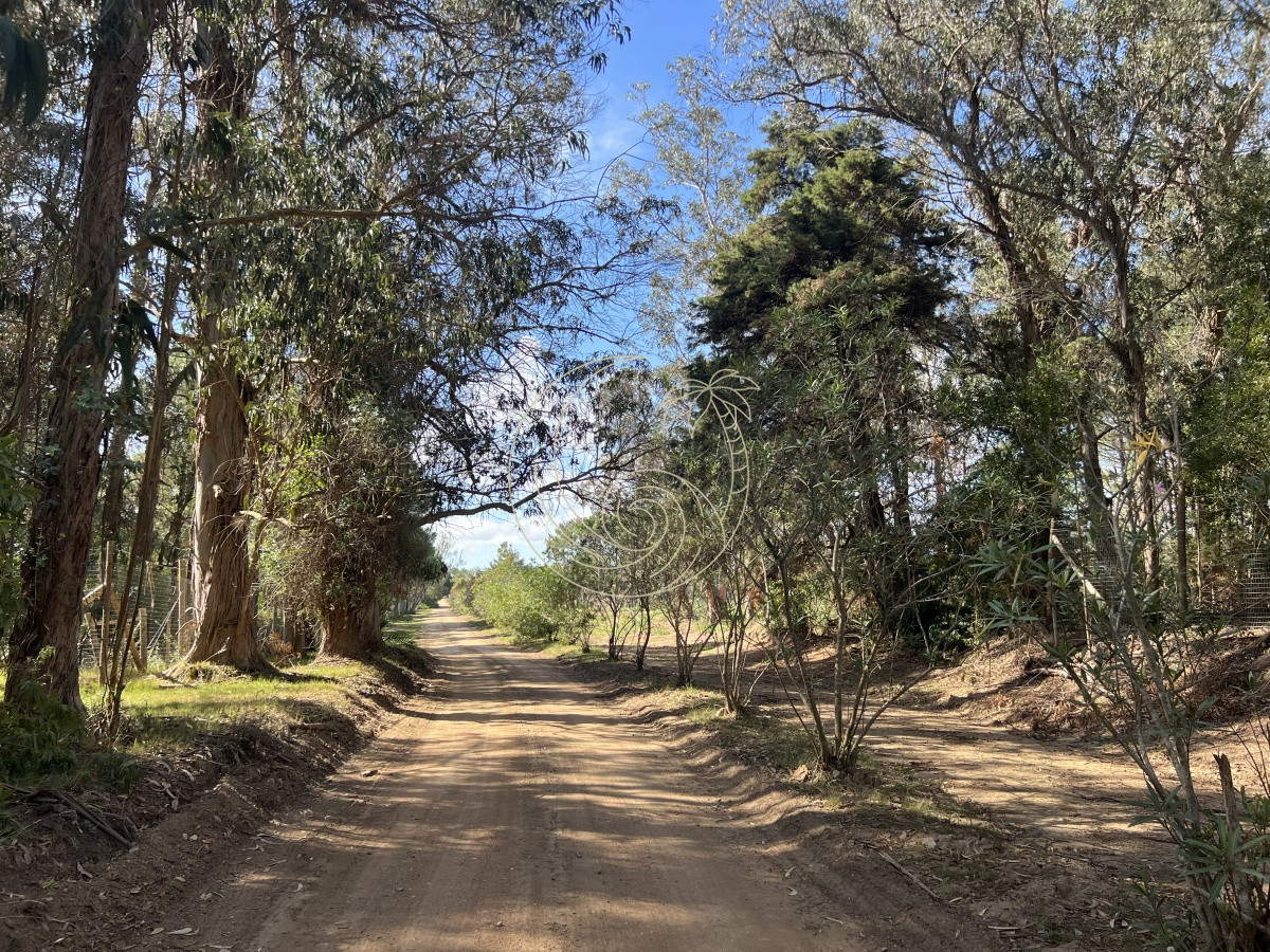Terreno ID.21092258 - LOTES EN VENTA EN BARRIO CERRADO EN PLENA BARRA