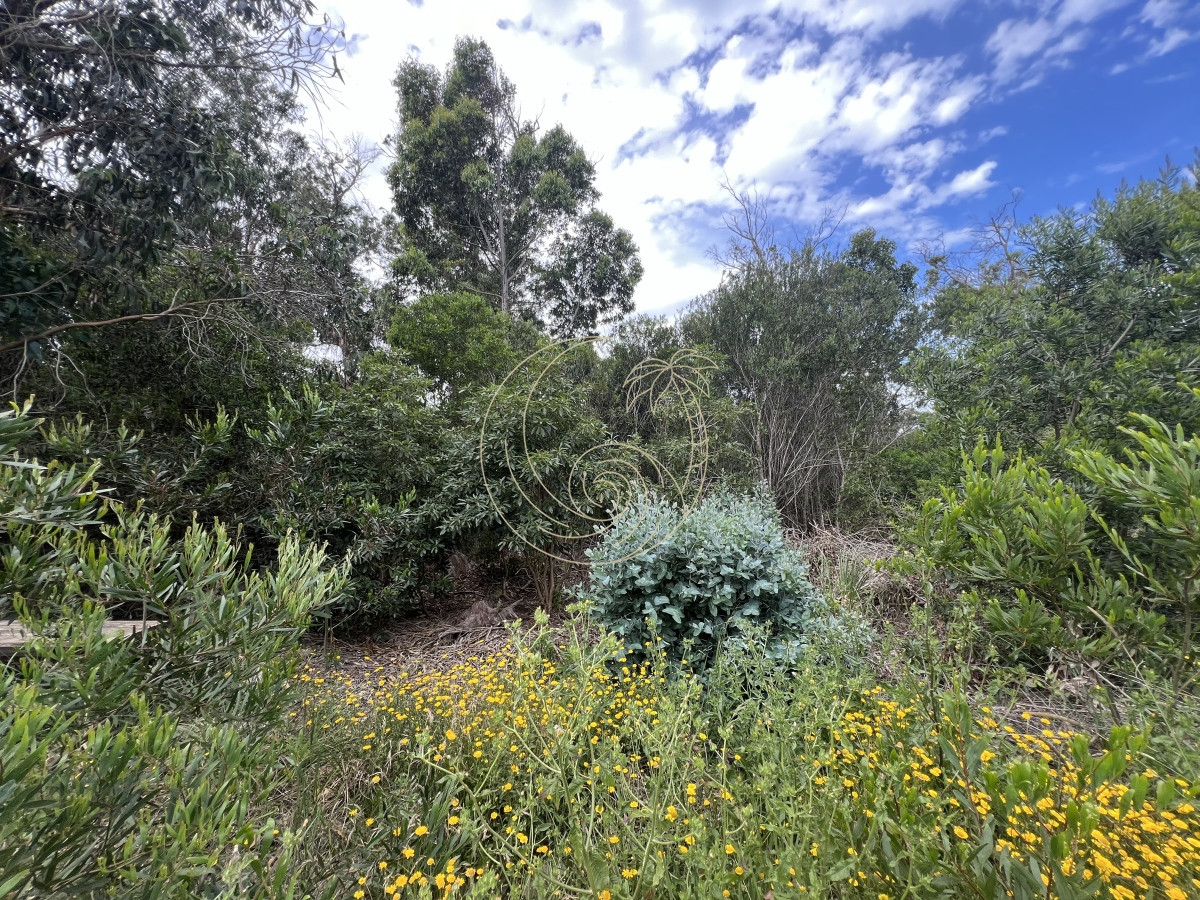 Terreno ID.21092495 - Terreno en Venta en Santa Monica - Jose Ignacio