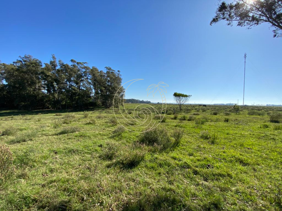 Terreno ID.21092378 - TERRENO 2.422m2 EN LA PALOMA, ROCHA 