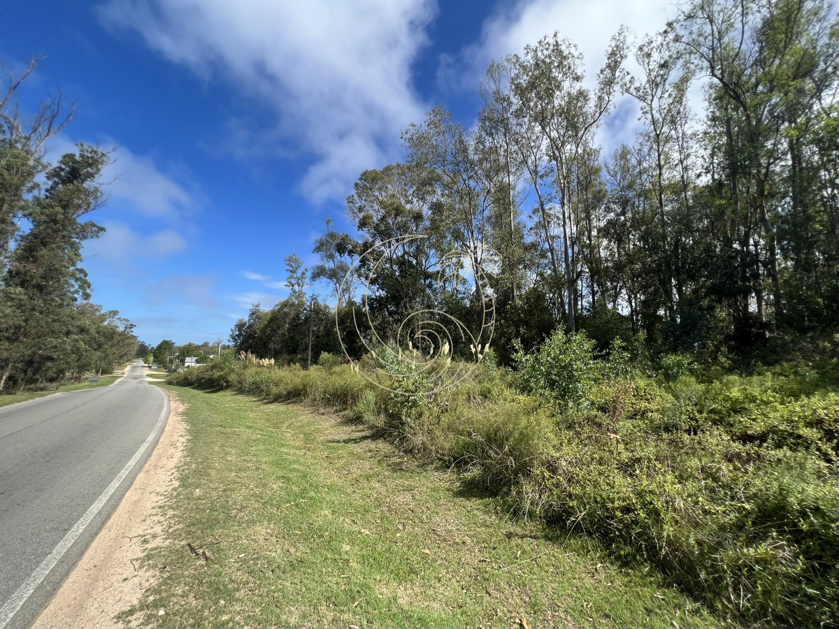 Terreno ID.21092255 - 8 Terrenos de 500 m2 aprox en El Tesoro - La Barra