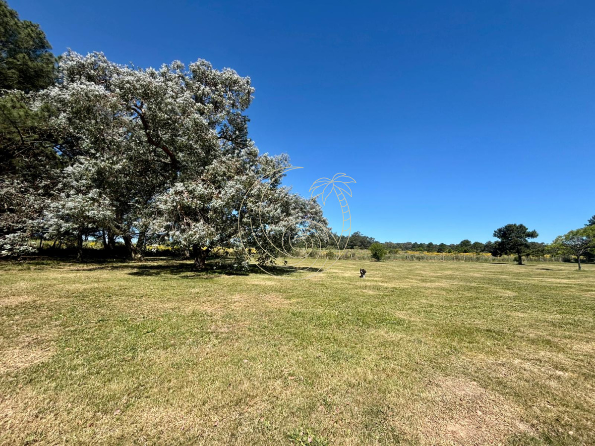 Terreno ID.21093128 - Venta - Permuta terreno barrio Don Miguel, La Barra, Punta del Este