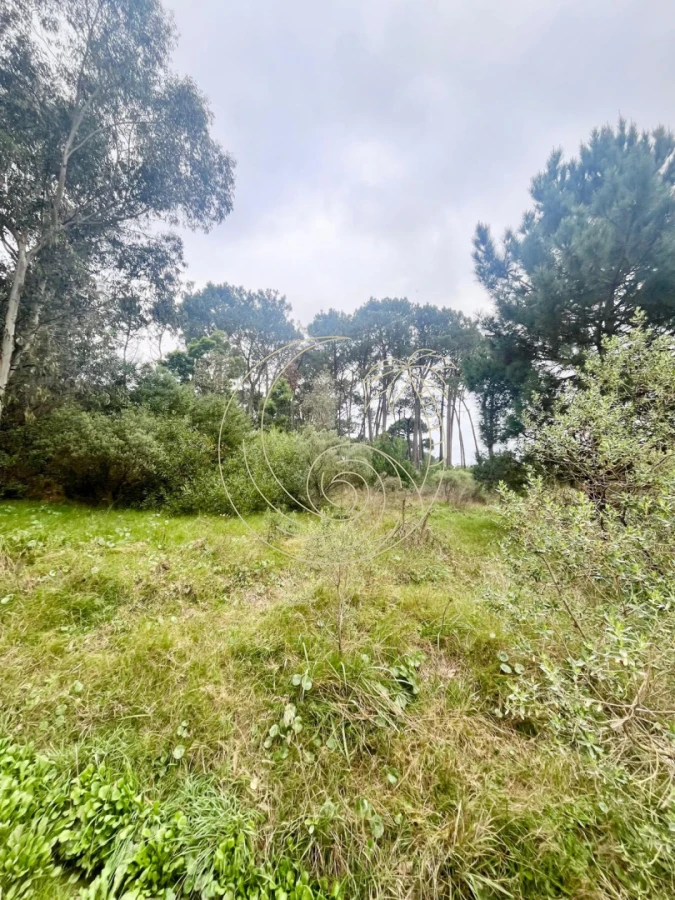 Terreno ID.21093216 - Excelente Terreno en venta en Barra Verde, La Barra, Punta del Este.