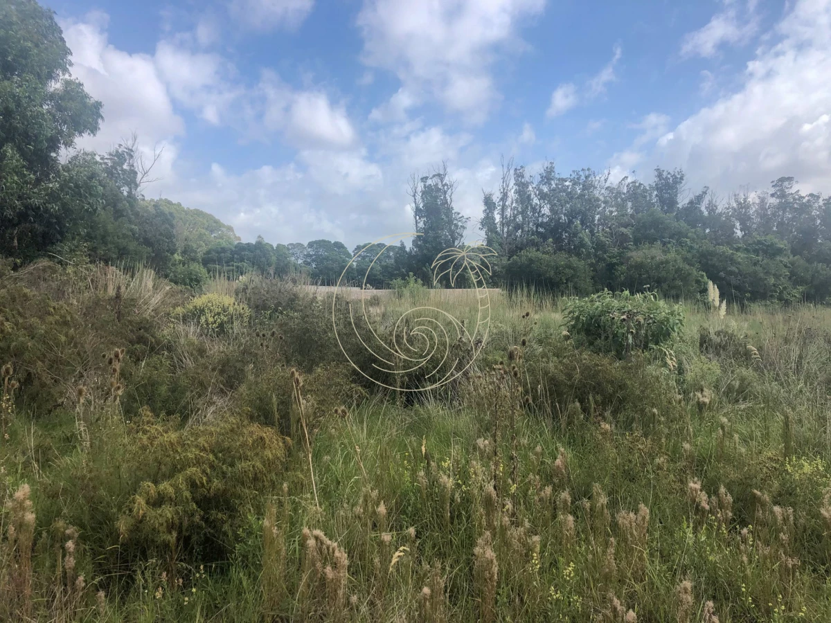 Terreno ID.2109155 - TERRENOS EN VENTA EN MIRAMAR ACRES - LA BARRA