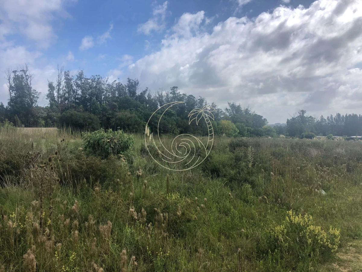 Terreno ID.2109155 - TERRENOS EN VENTA EN MIRAMAR ACRES - LA BARRA