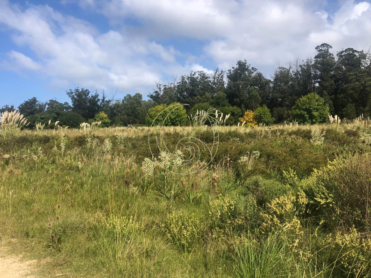 Terreno ID.2109155 - TERRENOS EN VENTA EN MIRAMAR ACRES - LA BARRA