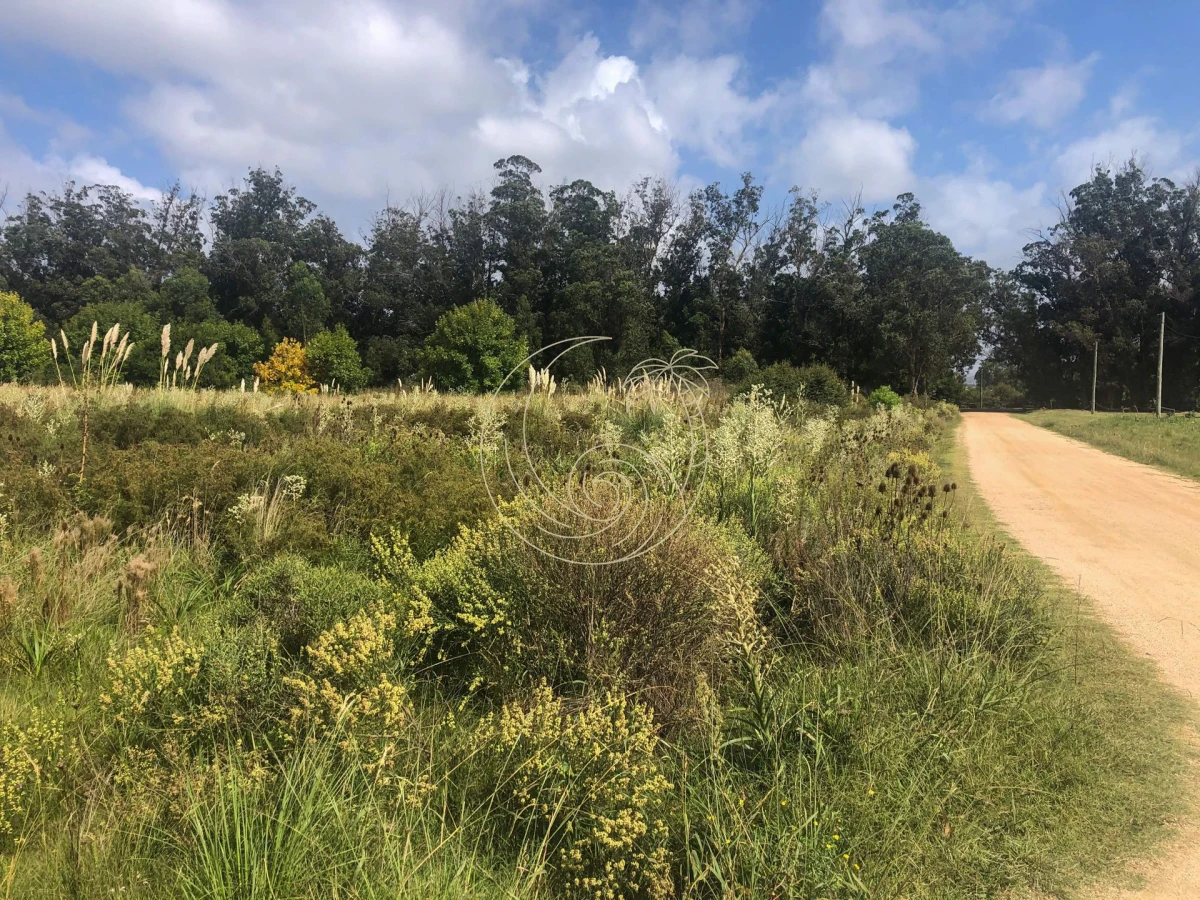 Terreno ID.2109155 - TERRENOS EN VENTA EN MIRAMAR ACRES - LA BARRA
