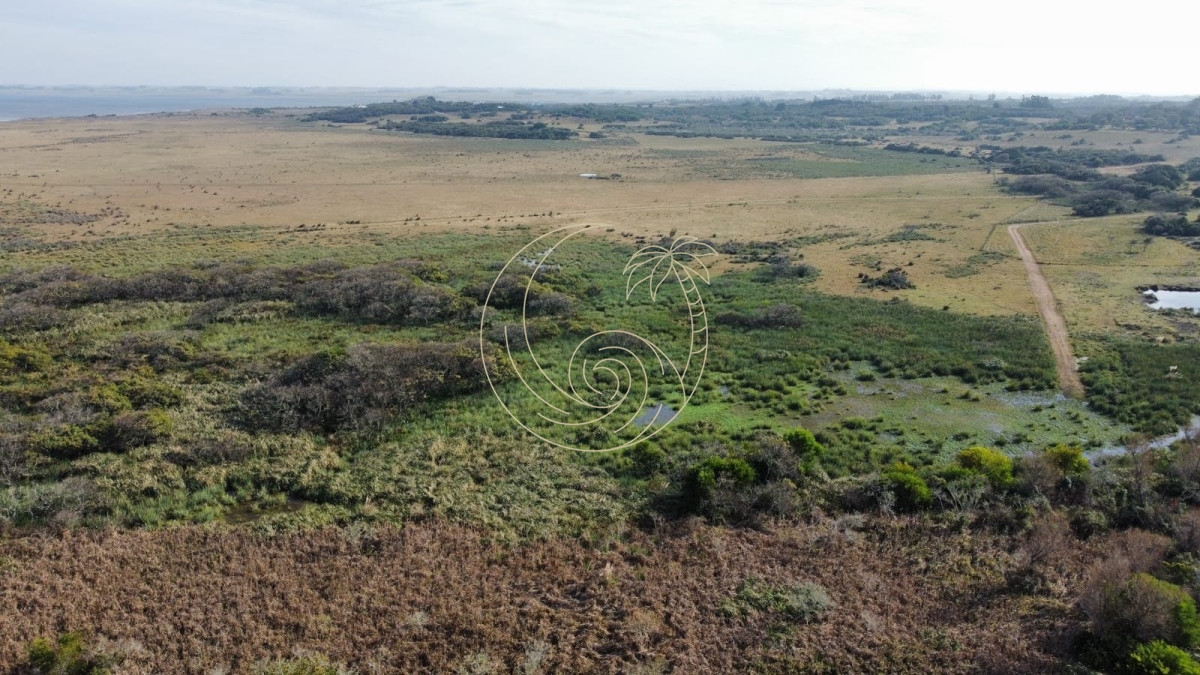 Terreno ID.21091522 - TERRENO EN VENTA EN LA JUANITA, JOSE IGNACIO