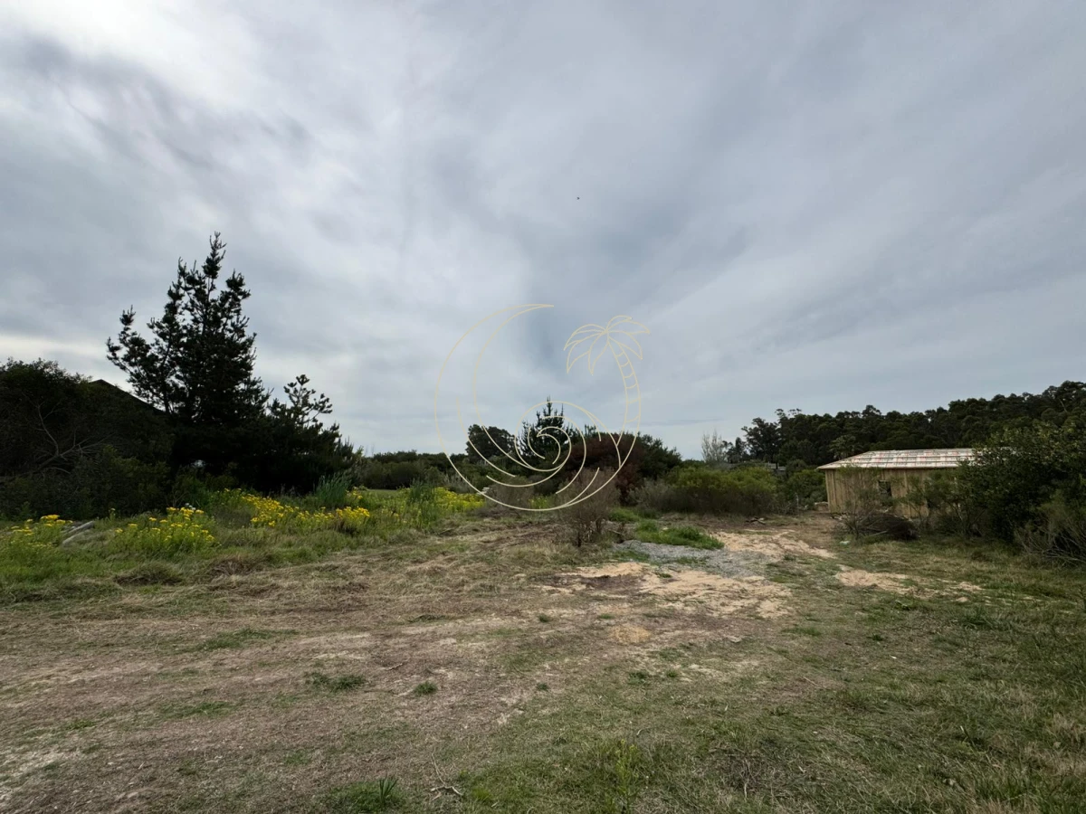 Terreno ID.21092732 - TERRENO DE 1500MTS EN SAN VICENTE