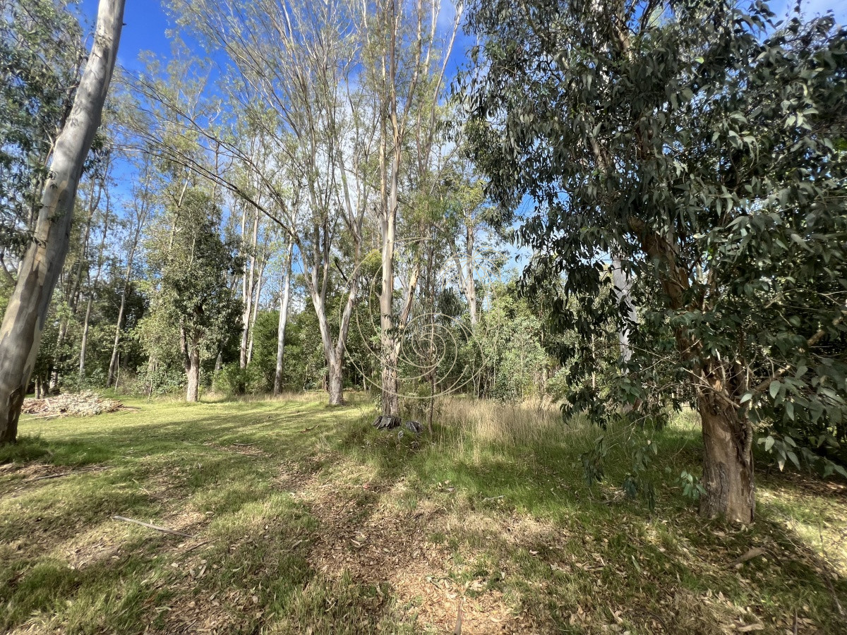 Terreno ID.21092255 - 8 Terrenos de 500 m2 aprox en El Tesoro - La Barra
