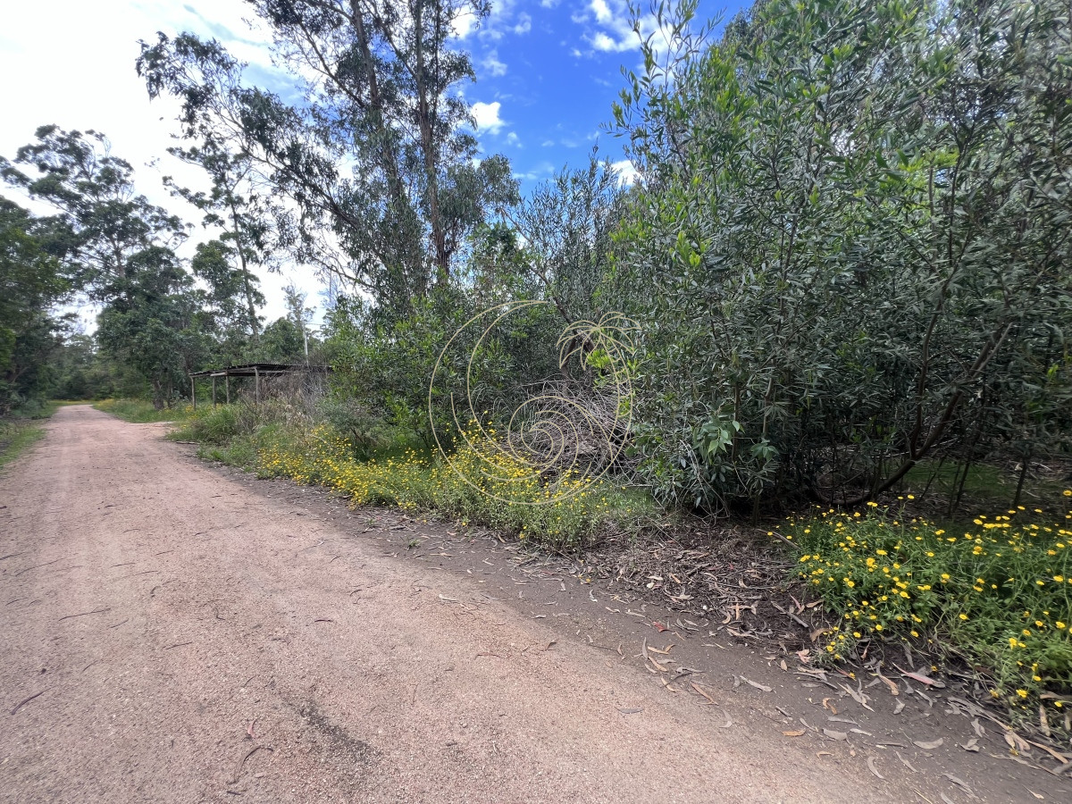 Terreno ID.21092495 - Terreno en Venta en Santa Monica - Jose Ignacio