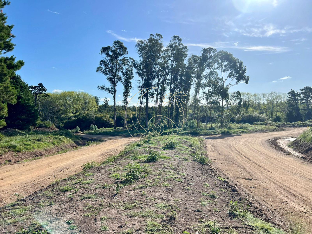 Terreno ID.21092318 - Terrenos en venta en Barrio Privado Puerto Quetzal