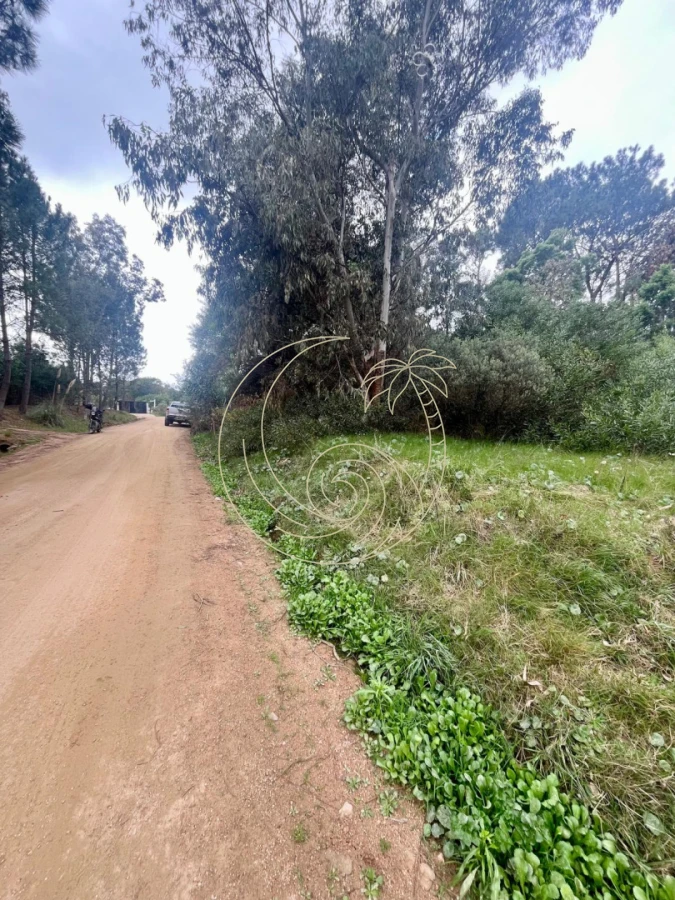 Terreno ID.21093216 - Excelente Terreno en venta en Barra Verde, La Barra, Punta del Este.