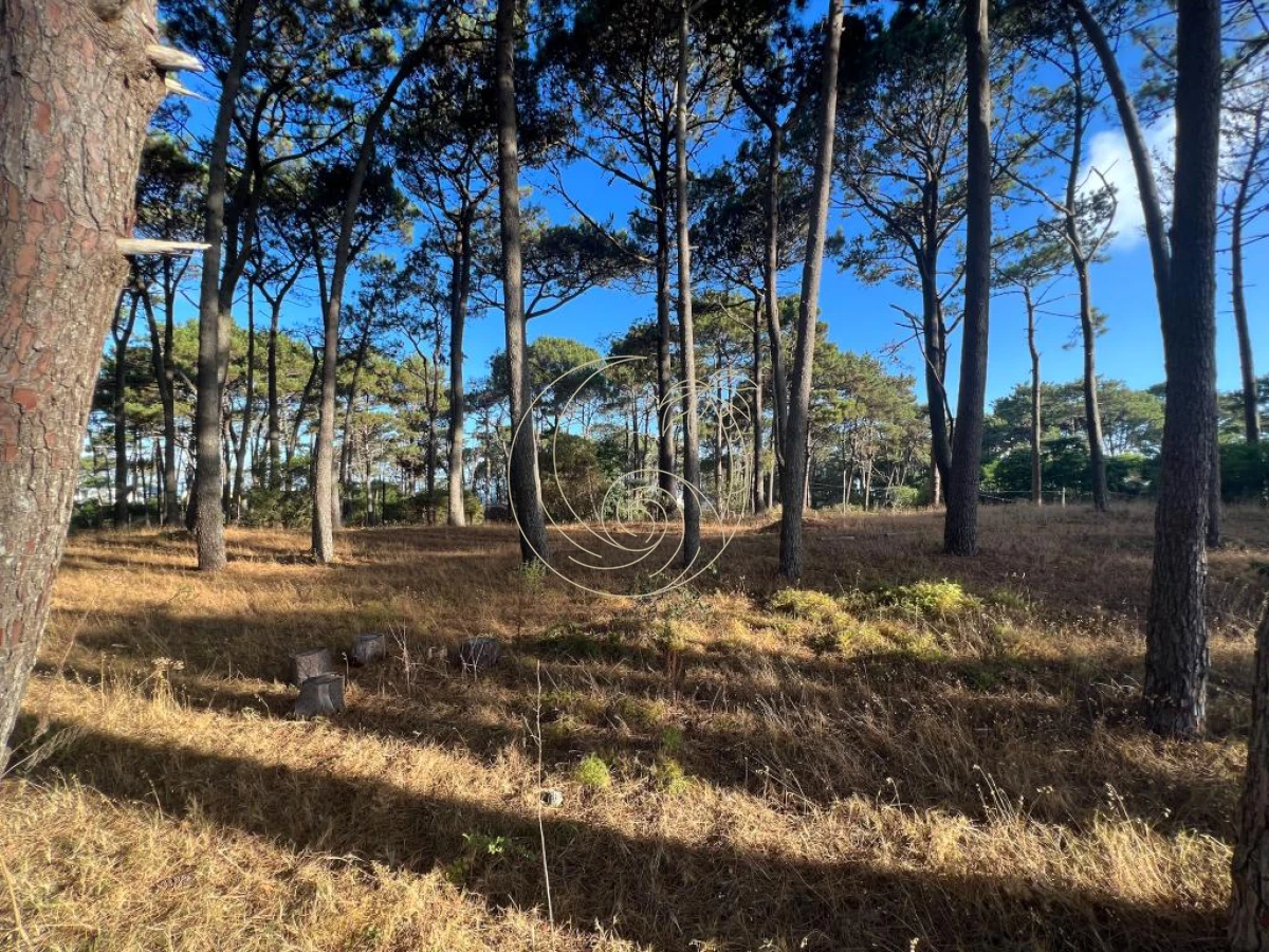 Terreno ID.21092145 - Terreno de 1000m2 en Reserva Montoya