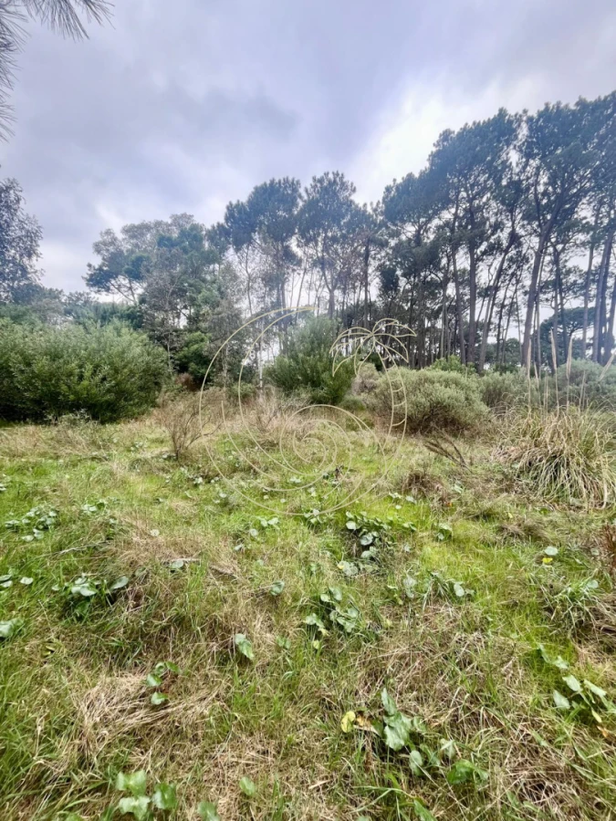 Terreno ID.21093216 - Excelente Terreno en venta en Barra Verde, La Barra, Punta del Este.