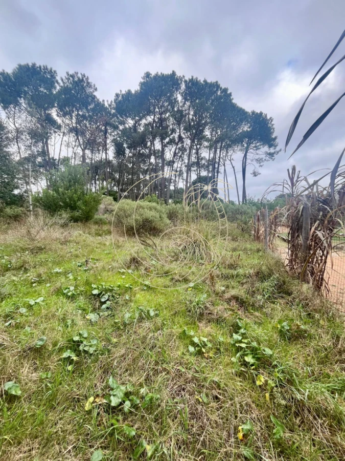 Terreno ID.21093216 - Excelente Terreno en venta en Barra Verde, La Barra, Punta del Este.
