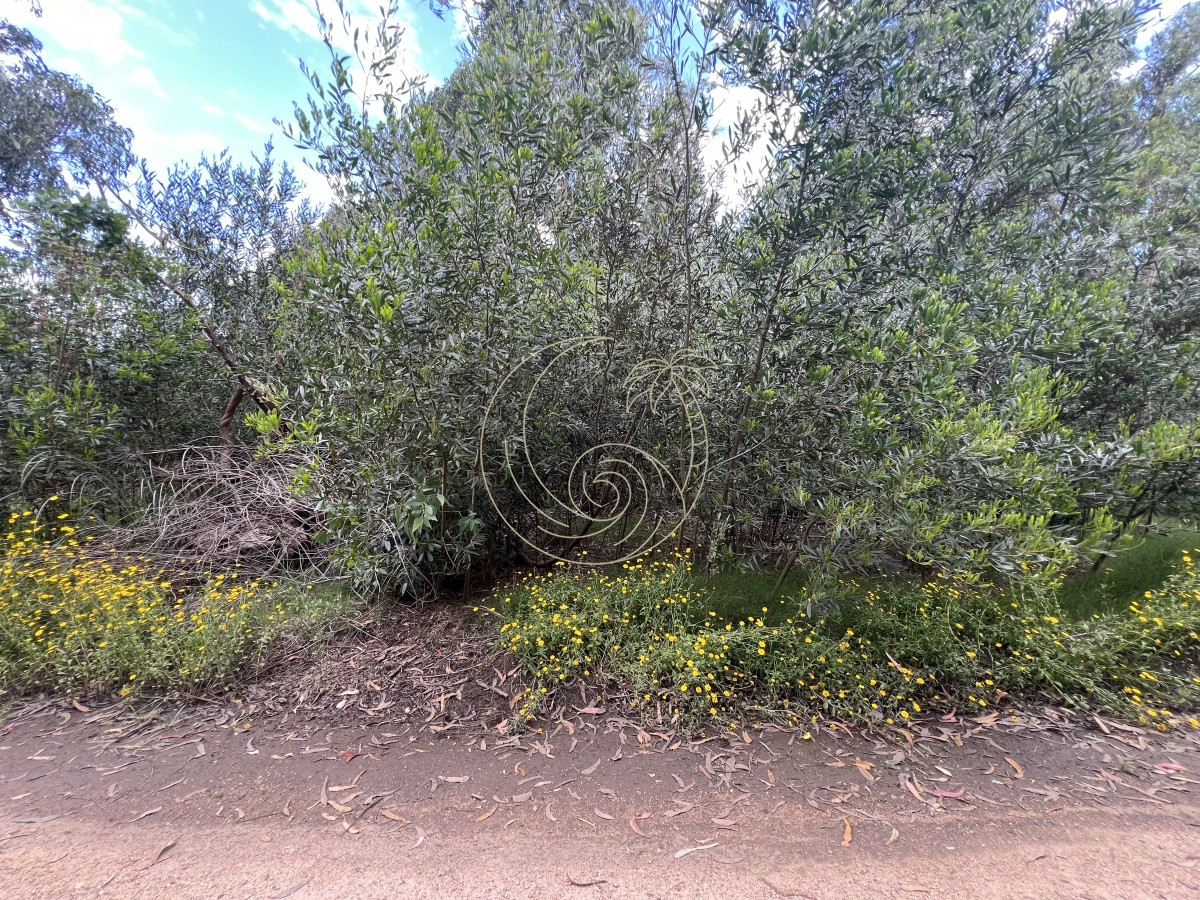 Terreno ID.21092495 - Terreno en Venta en Santa Monica - Jose Ignacio