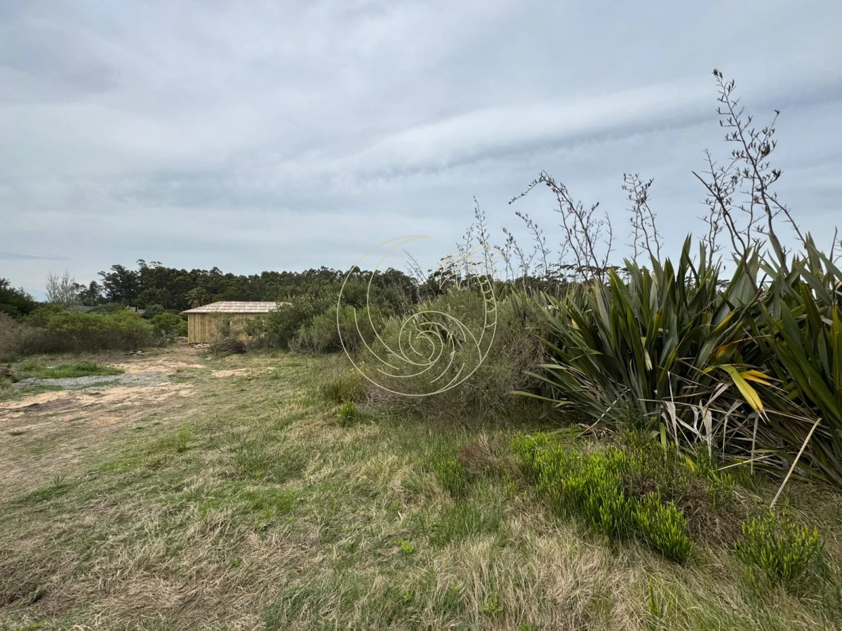 Terreno ID.21092732 - TERRENO DE 1500MTS EN SAN VICENTE