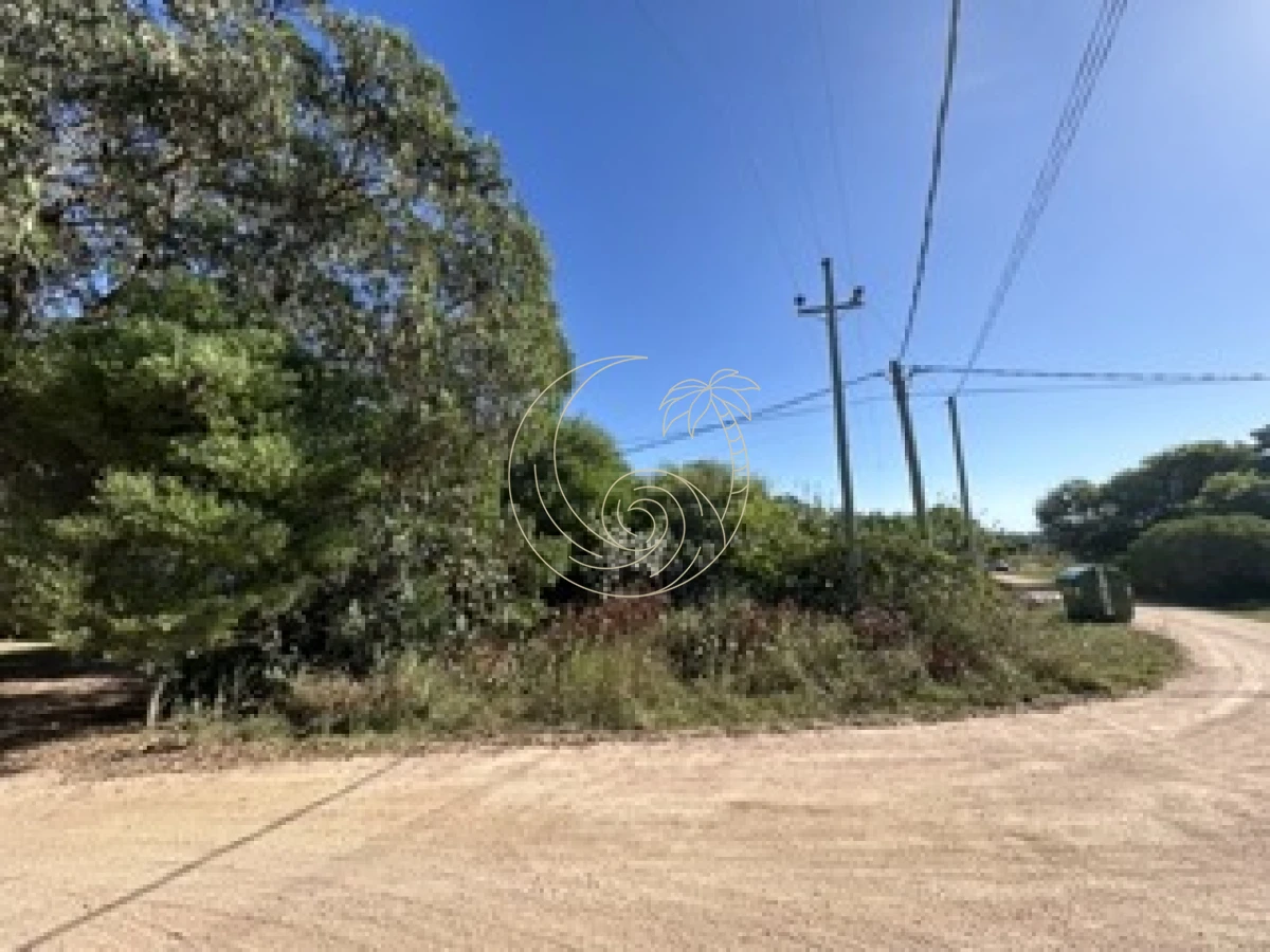 Terreno ID.21092790 - TERRENO EN VENTA, EL TESORO